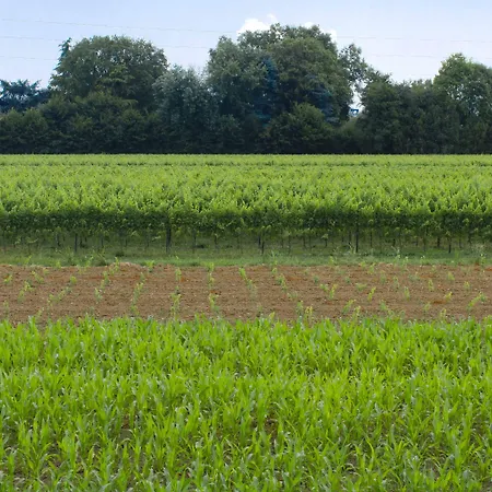 Garden - Smart 3* Μέστρε