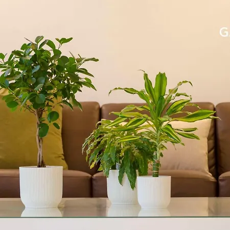 אתר נופש Garden Smart